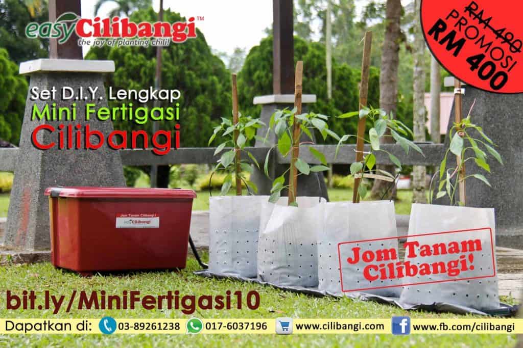 Mini Fertigasi Cilibangi