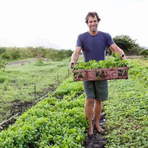 Jack Johnson dan sayuran organik. Foto: Bonappetit