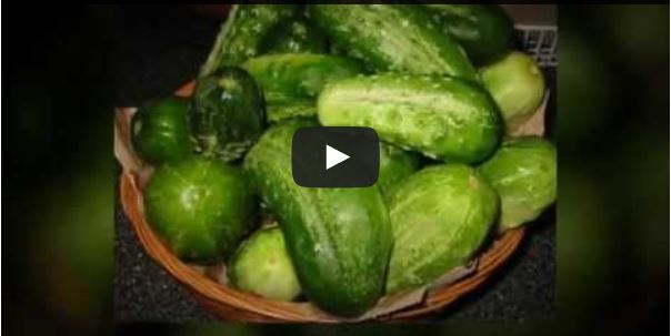 Manfaat Sayur, Sihat dan Kurus.