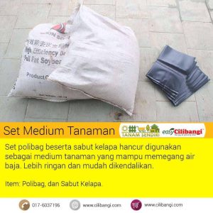 Set Medium Tanaman Cilibangi